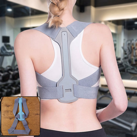 Premium gym posture belt