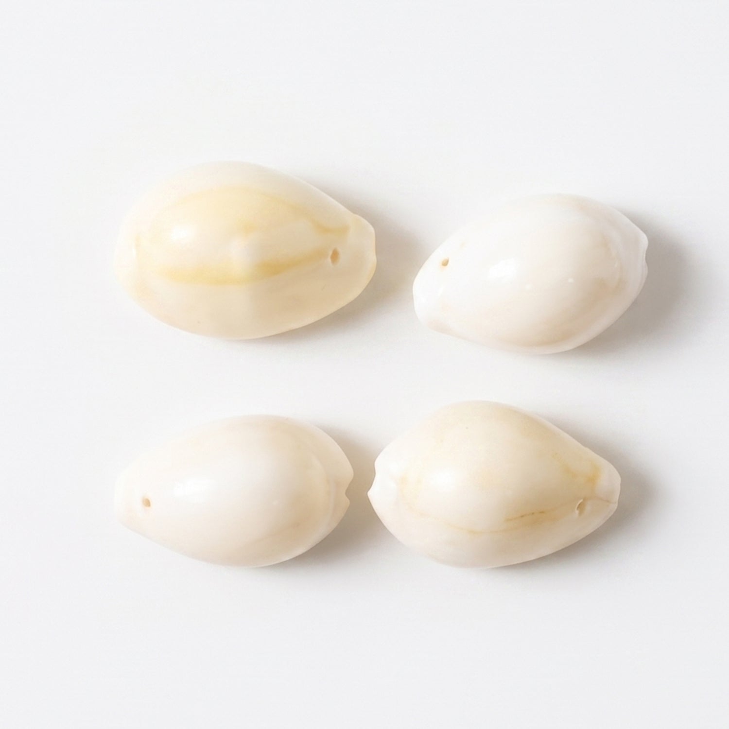 natural cowrie shells gaming pieces