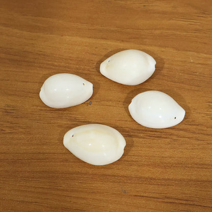 natural sea shells puja items set